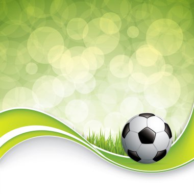 futbol topu çimlerin üzerinde