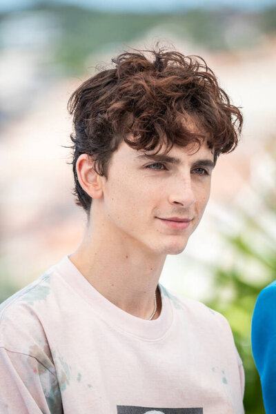 Cannes France July 2021 Timothe Chalamet Attends French Dispatch Photocall Stock Photo