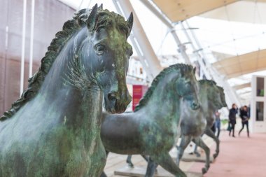 Tema evrensel Fuar Gıda