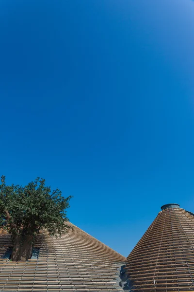 EXPO 2015 - Nutrire il Pianeta — Foto Stock