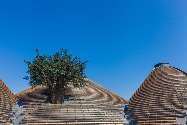 EXPO 2015 - Feed the Planet