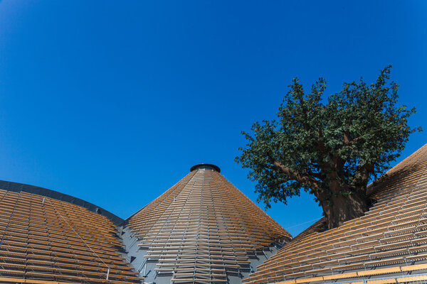 EXPO 2015 - Feed the Planet