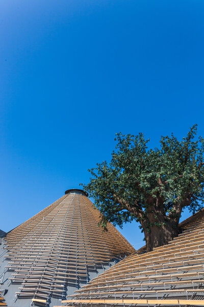 EXPO 2015 - Feed the Planet