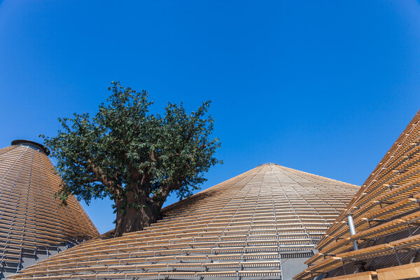 EXPO 2015 - Feed the Planet