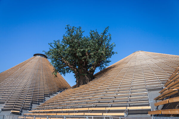 EXPO 2015 - Feed the Planet