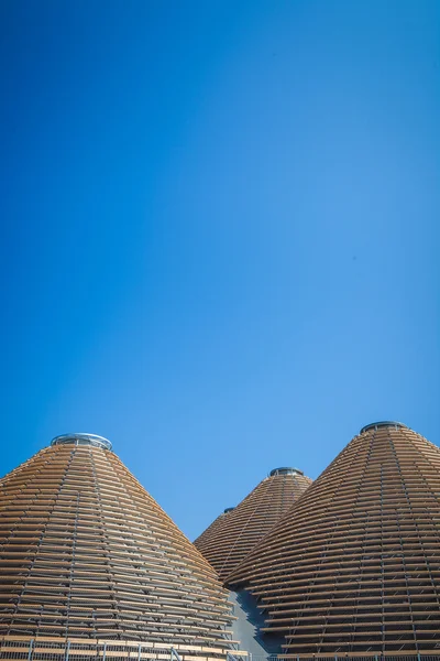 EXPO 2015 - Nutrire il Pianeta — Foto Stock