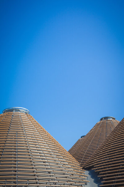 EXPO 2015 - Feed the Planet