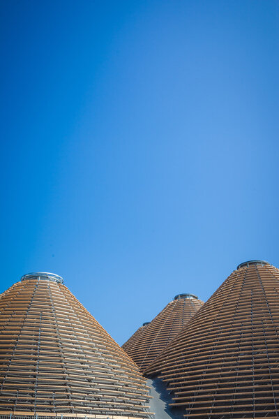 EXPO 2015 - Feed the Planet