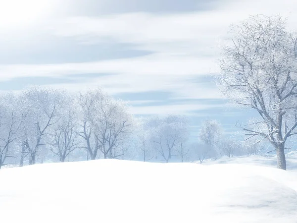 Weergave Van Een Winter Besneeuwd Landschap — Stockfoto