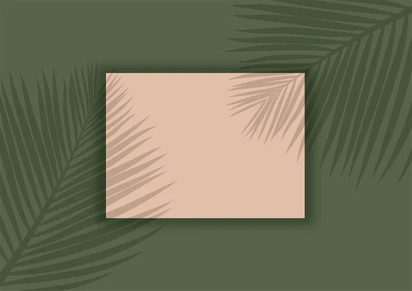 Display Mock Background Palm Tree Leaves Shadow Overlay — Stock Vector