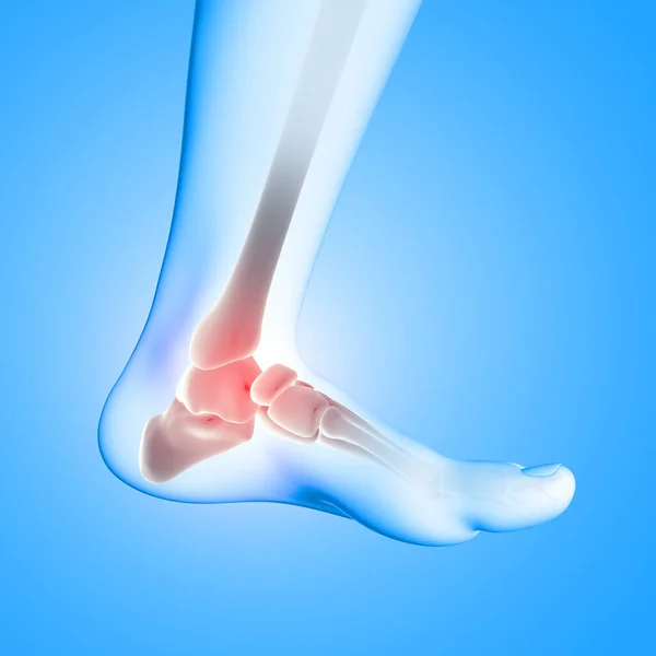3D render of a medical image of close up of ankle bone in foot