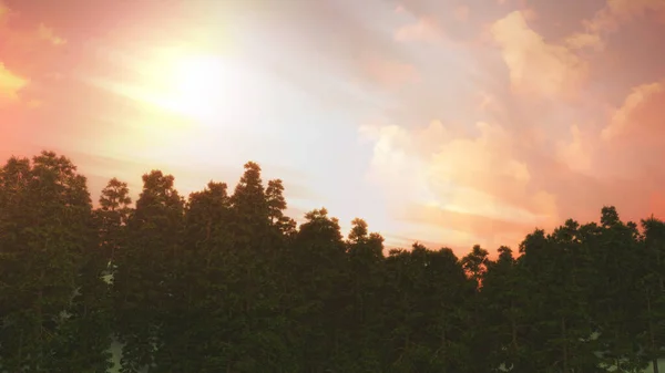 Darstellung Einer Baumlandschaft Vor Einem Sonnenuntergang — Stockfoto