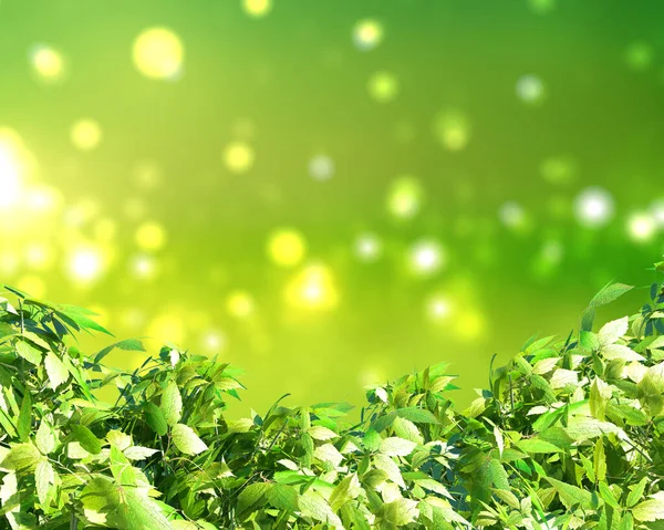 Render Green Leaves Sunny Bokeh Lights Background — Stock Photo, Image