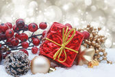 Vánoční dárky a dekorace zasazené
