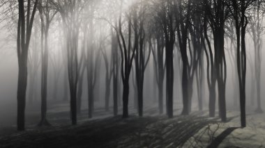 Spooky background of trees on a foggy night clipart