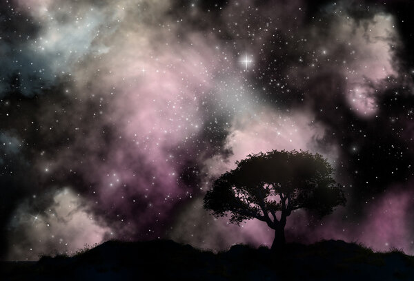 Tree silhouettes against a starfield sky