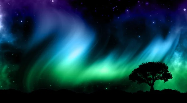Ночное небо с северными огнями и силуэтами деревьев — стоковое фото