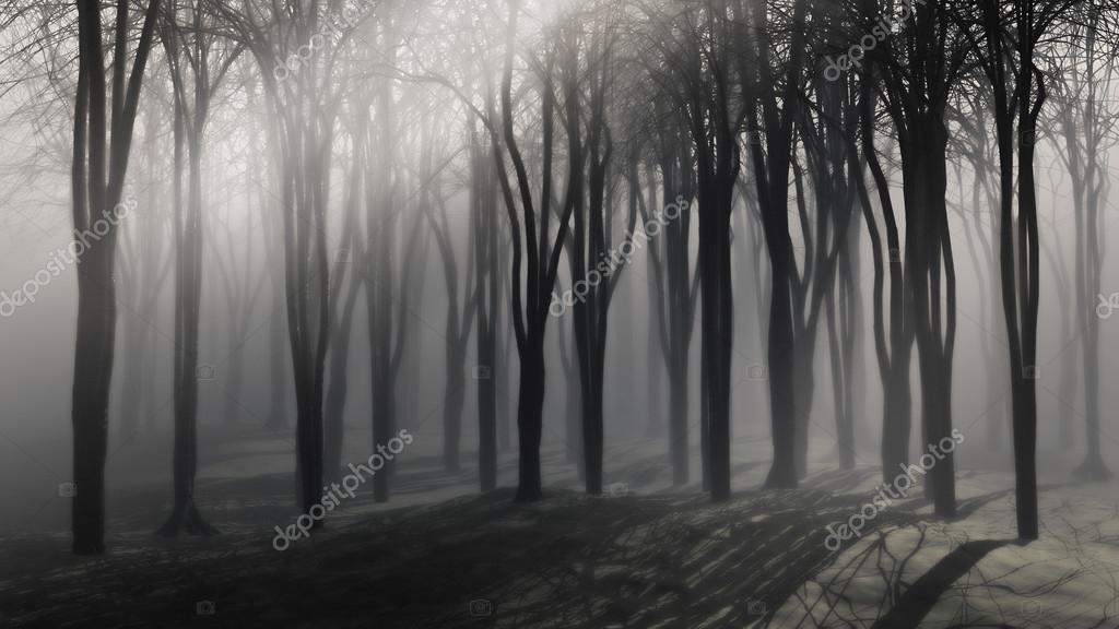 Spooky Background Of Trees On A Foggy Night Stock Photo Image By C Kjpargeter Spooky Background Of Trees On A Foggy Night Stock Photo Image By C Kjpargeter