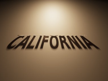 California okur bir gölge metin 3D render