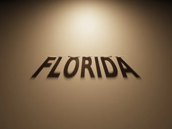 Representación 3D de un texto de sombra que lee Florida — Foto de Stock
