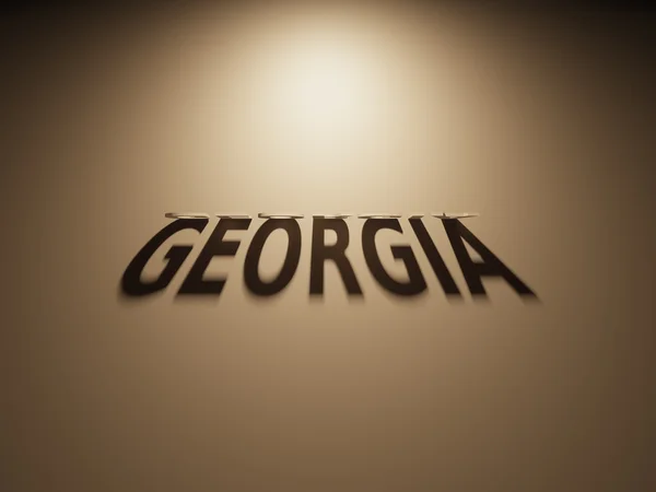 Representación 3D de un texto en sombra que lee Georgia — Foto de Stock