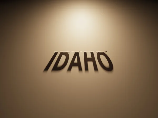3d 渲染的读取爱达荷州的阴影文本 — 图库照片
