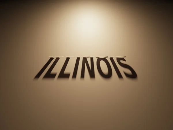 Representación 3D de un texto de sombra que lee Illinois — Foto de Stock