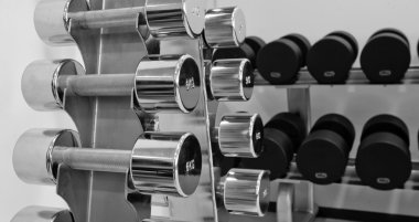 Modern spor kulübü spor dambıl. Ağırlık eğitim tekniği
