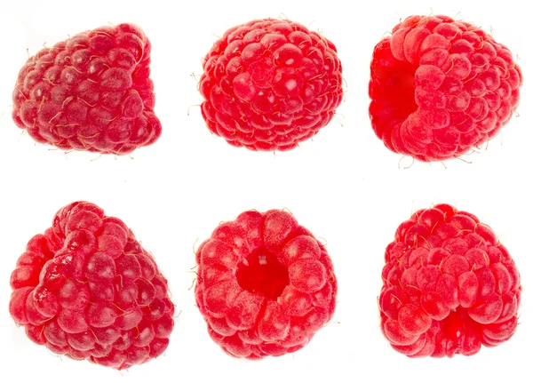 在白色背景上的成熟红树莓的集合. — 图库照片