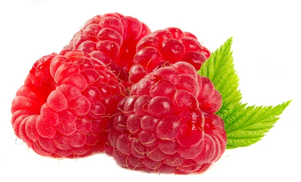 Ripe raspberries isolated on a white background. Royalty Free Stock Photos