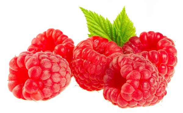 Reife Himbeeren isoliert auf weißem Hintergrund. Stockfoto