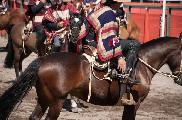 Chile - rodeio de criadores durante as festas patrias Fotos De Bancos De Imagens Sem Royalties