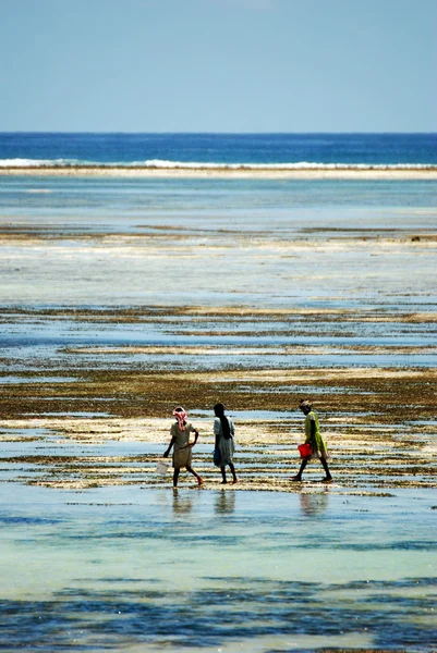 Τους ανθρώπους που περπατούν σε τυρκουάζ θάλασσα της Ζανζιβάρης Φωτογραφία Αρχείου
