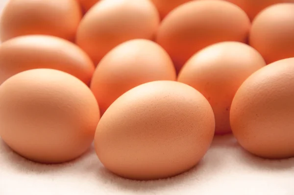 Brown hens Eggs — Stock Photo, Image