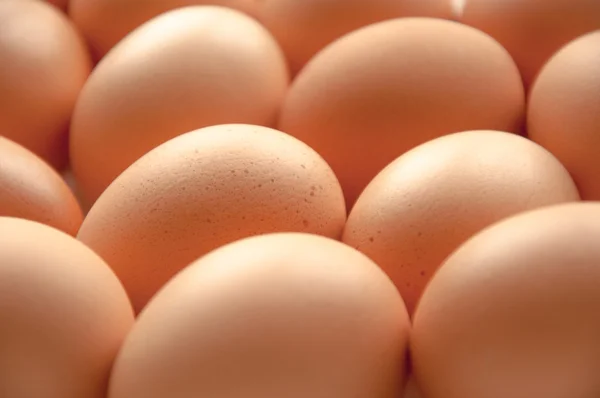 Brown hens Eggs close up — Stock Photo, Image