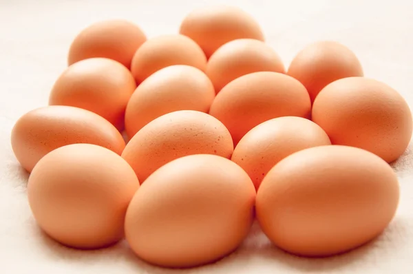 Brown hens Eggs in a group — Stock Photo, Image