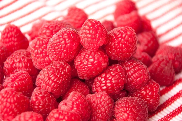 Belles framboises rouges sur fond rayé en diagonale — Photo