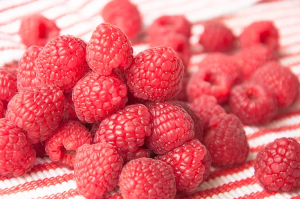 Belles framboises rouges sur un fond clair rayé — Photo