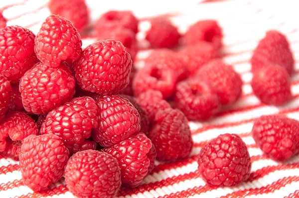 Mooie roze frambozen op een gestreepte achtergrond — Stockfoto