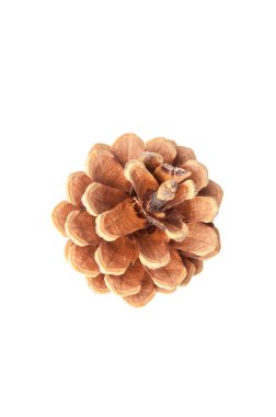 Yukarıdan izole koni