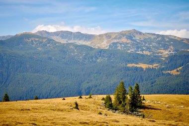 Transalpina en yüksek irtifa yolu.