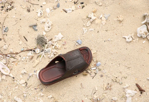 Ensam sko på stranden. — Stockfoto