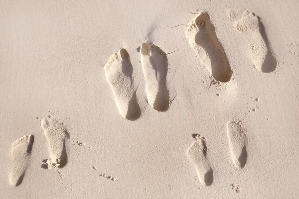 Pegadas de família pés na areia da praia. — Fotografia de Stock