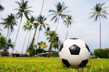 Palmiye ağaçları ve gökyüzü arka plan üzerinde yeşil bir alana futbol topu yatıyor