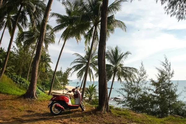 ヤシの木とビーチ ビーチのスクーター — ストック写真