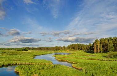 Nehir ve mavi gökyüzü ile güzel bir yaz manzarası