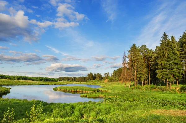 Beautiful summer landscape — Stock Photo, Image