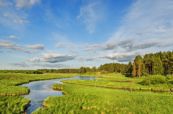 Summer landscape with river and clouds on blue sky — Stock Photo, Image