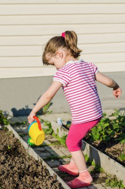 küçük kız bir sulama olabilir bitkiler sulama