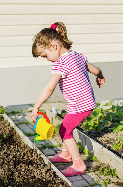 Niña regando plantas de una regadera — Foto de Stock